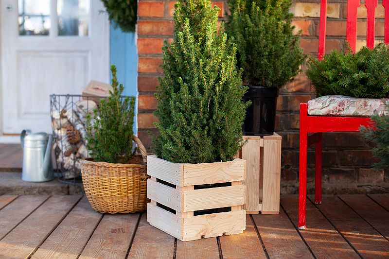 Pflanzenkübel für Terrasse im Winter